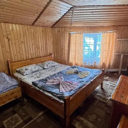 ялинка Hotel Drahobrat