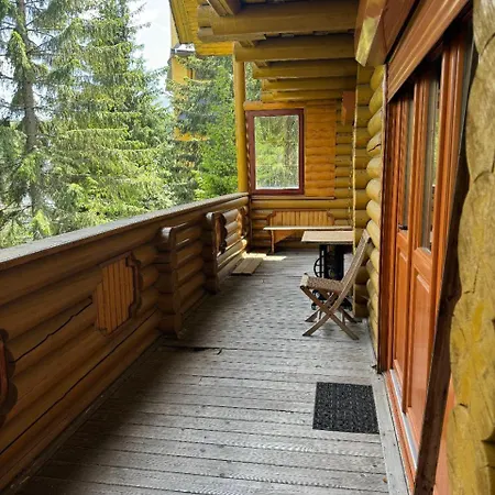 ялинка * Драгобрат