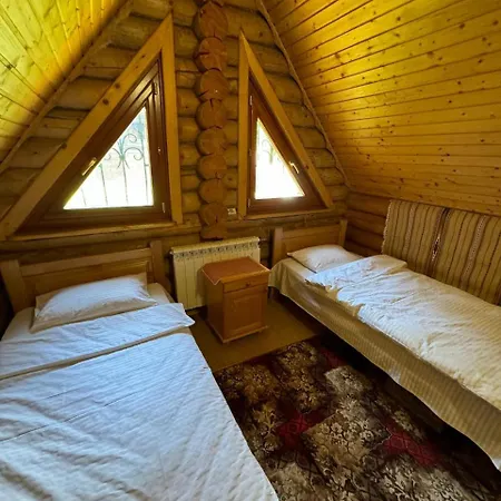 ялинка * Drahobrat