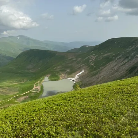 Отель ялинка