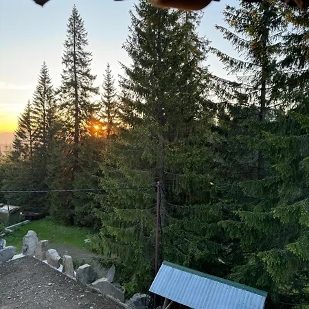 ялинка Отель Драгобрат