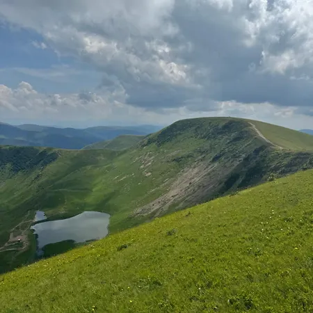 ялинка Драгобрат