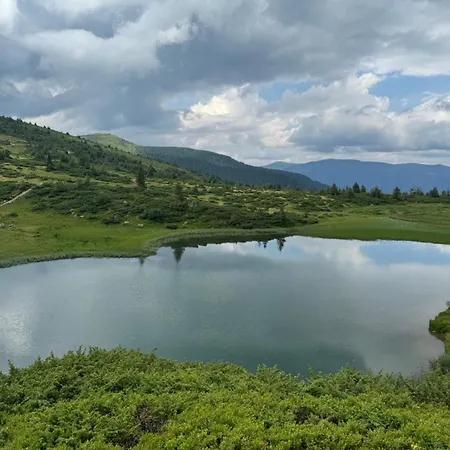 ялинка Драгобрат