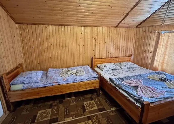 ялинка 德拉格布拉特