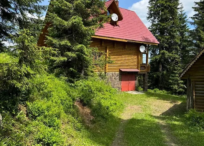 ялинка *