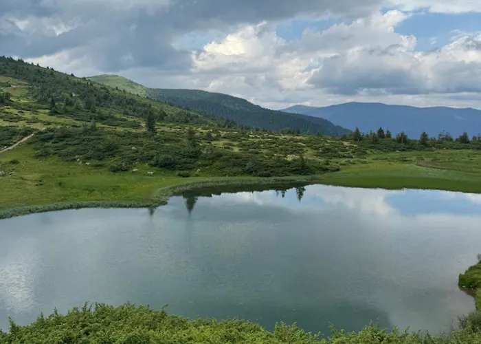 ялинка 德拉格布拉特