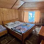 ялинка Hotel Dragobrat