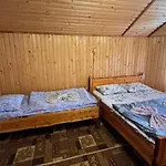 ялинка Dragobrat