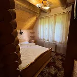 ялинка * Dragobrat