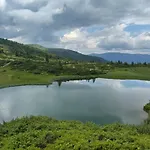 ялинка Dragobrat
